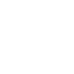 Logo PDFS Sécurité